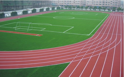 http://www.cailb.cn/